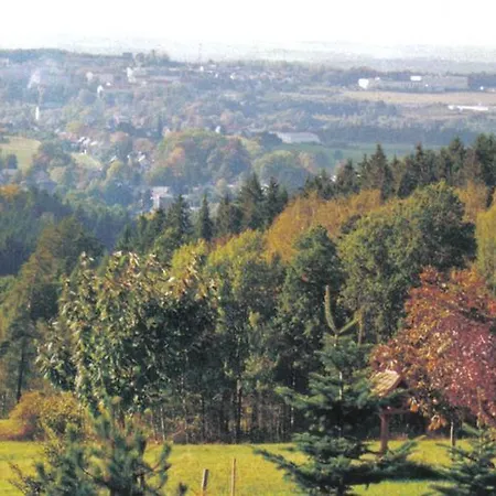 Holiday Samen In Vogtland 2 Auerbach (Vogtland)