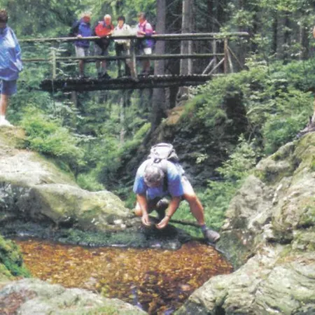 Holiday Samen In Vogtland 2 Feriehus *