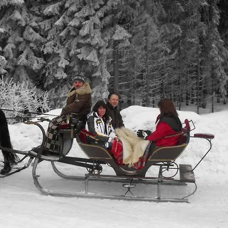 Feriehus Holiday Samen In Vogtland 2 *