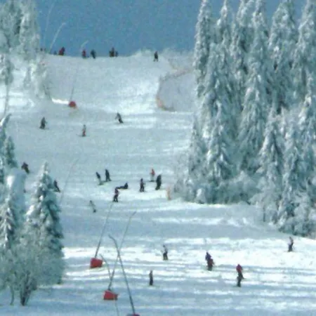 Feriehus Holiday Samen In Vogtland 2